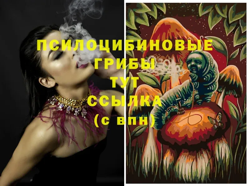 Псилоцибиновые грибы Psilocybe Лянтор